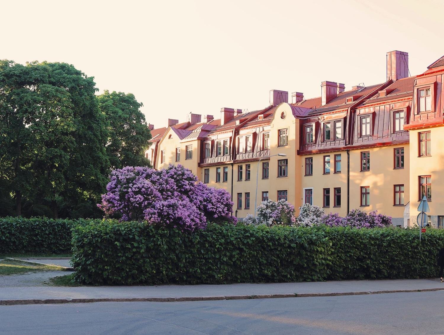 Midsommarkransen